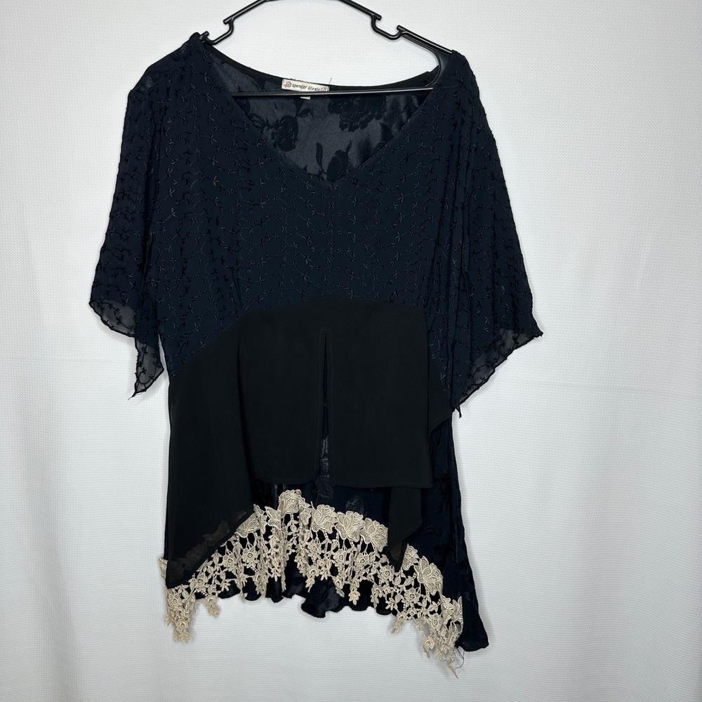 Spencer Alexis Size 16 Blouse Embroidered Burnout Velvet Lace Tunic Whimsigoth